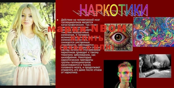 мдпв Белокуриха