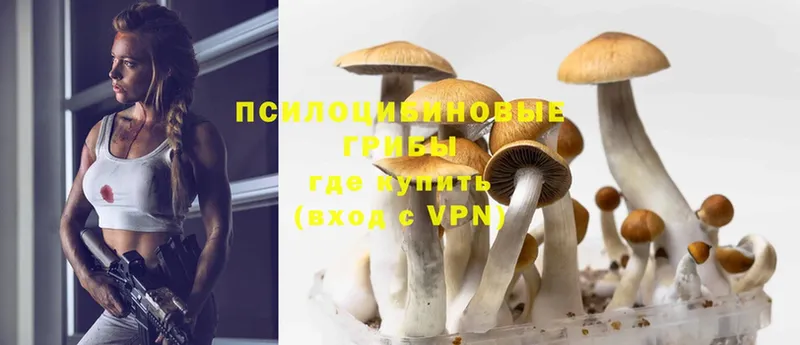 Псилоцибиновые грибы MAGIC MUSHROOMS  где найти наркотики  Гаврилов-Ям 