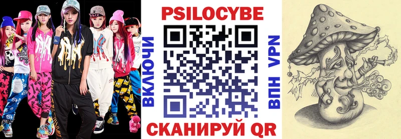 Псилоцибиновые грибы Cubensis  блэк спрут онион  Гаврилов-Ям 