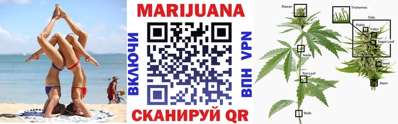 Конопля Bruce Banner Гаврилов-Ям